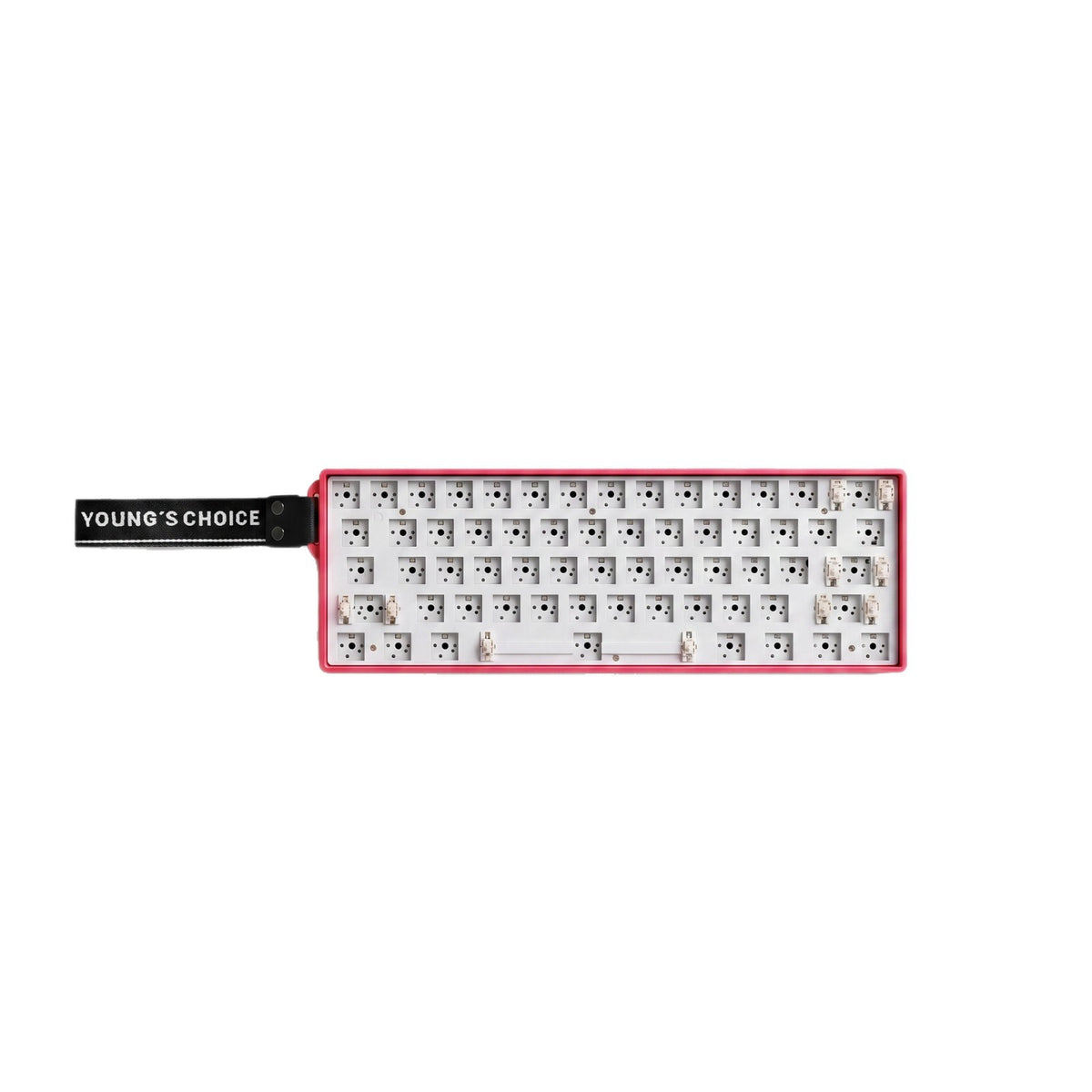 61-Key Wireless Keyboard Kit: Full-Key Hot-Swappable RGB Backlit Mechanical Keyboard with 3-Pin/5-Pin Switches and Full Anti-Ghosting